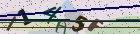 Mã bảo mật